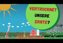 Trockenes Land – schmale Ernte?